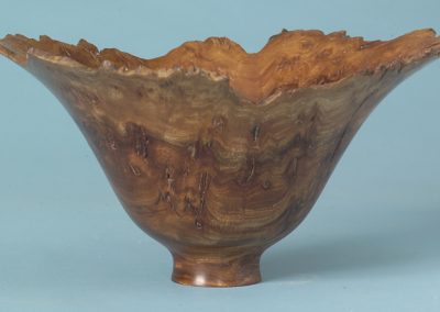 Burr elm 170mm dia.